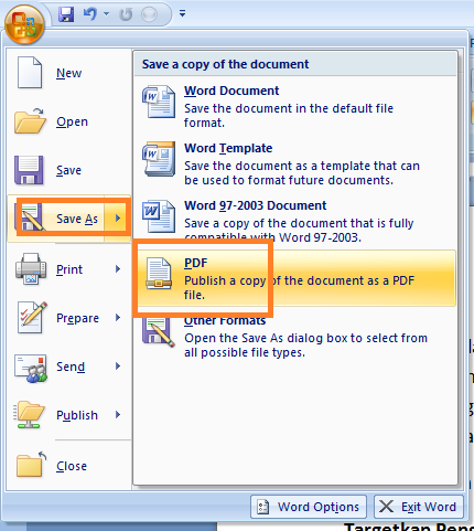 Cara Convert Dokumen Word ke PDF Langsung dari Microsoft Word 2007 |  Dailysocial