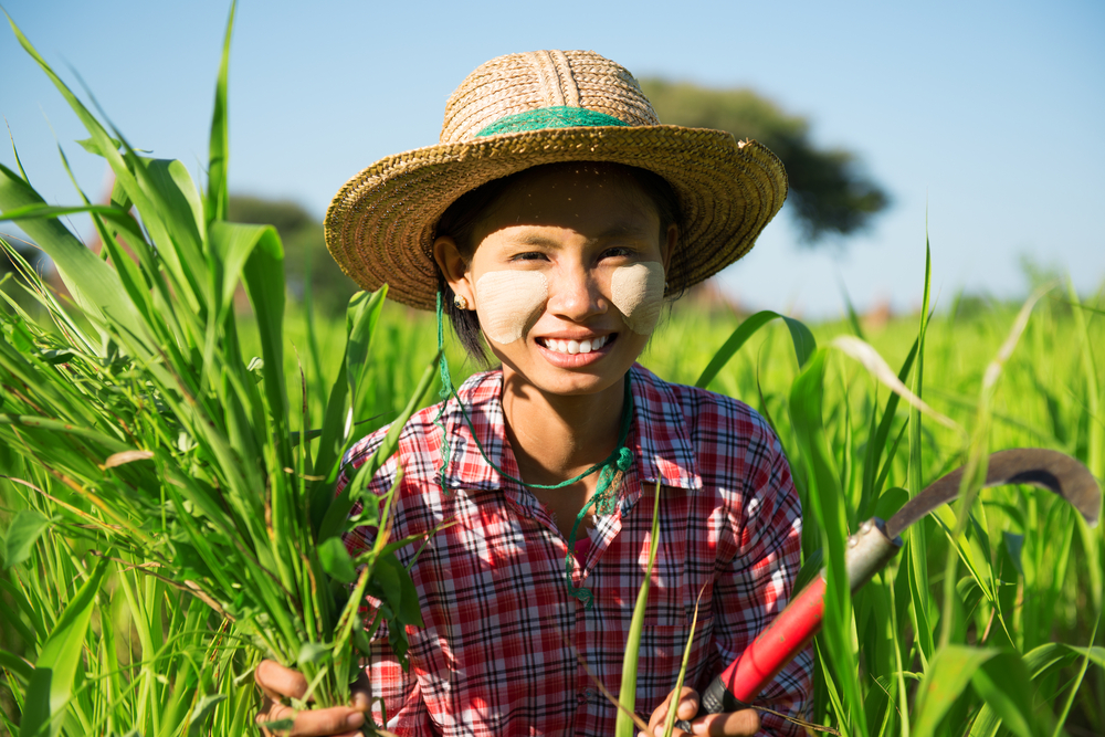 shutterstock_153016406