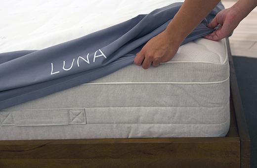 Luna 01 for SEO