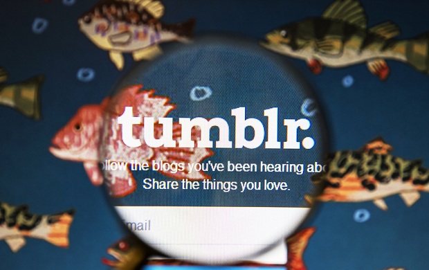blog tumblr