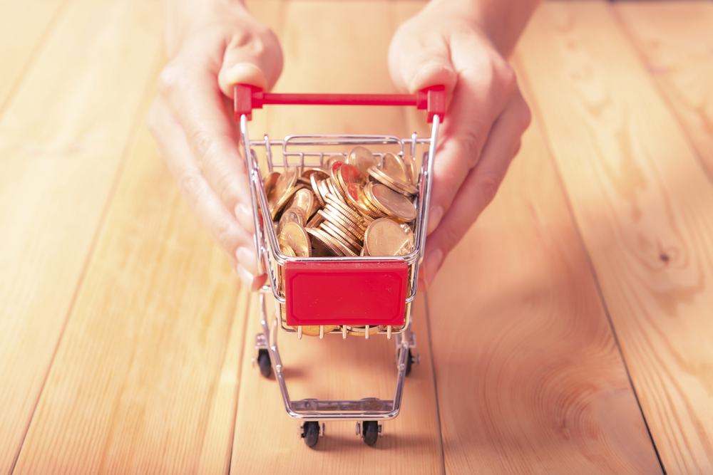 Revisi DNI merestui kepemilikan 100 persen layanan e-commerce oleh asing / Shutterstock