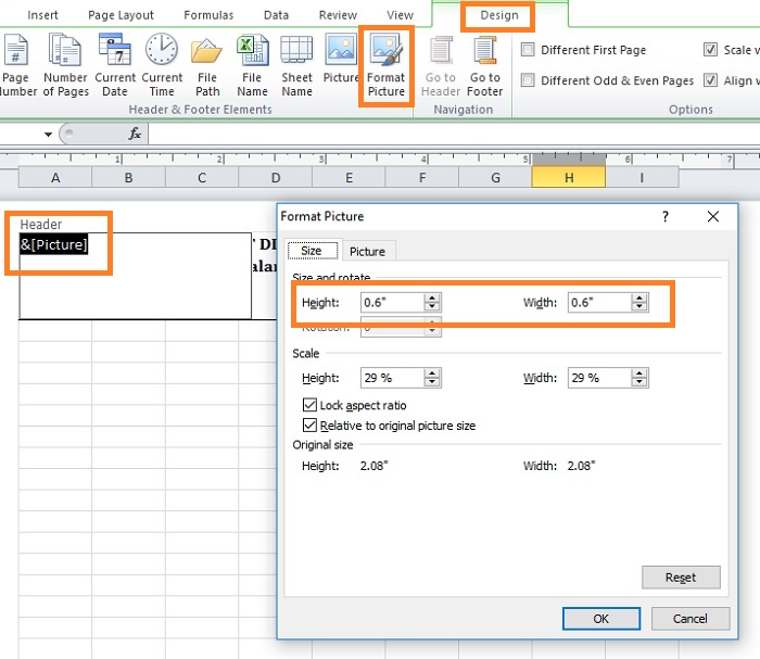 Panduan Pemula Cara Membuat Kop Surat Di Microsoft Excel