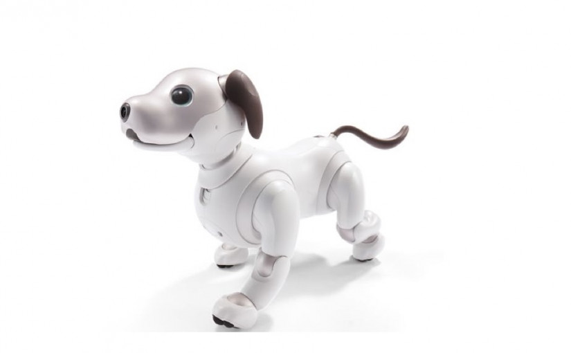 Sony Hidupkan Kembali Robo-Dog AIBO, Lebih Pintar dan Lucu