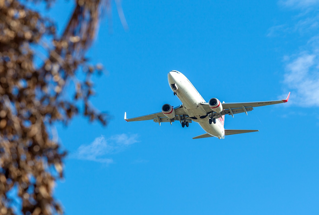 Indonesia Flight selepas diakusisi / Pixabay