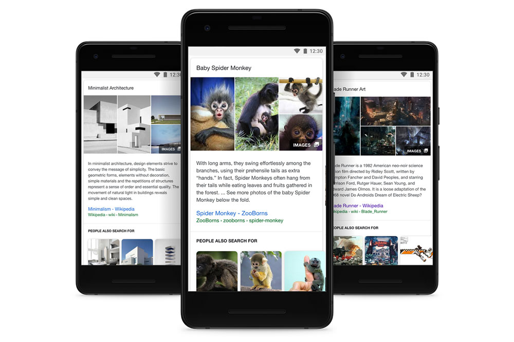 Featured Snippets di hasil pencarian kini mengemas lebih banyak gambar dan topik terkait / Google