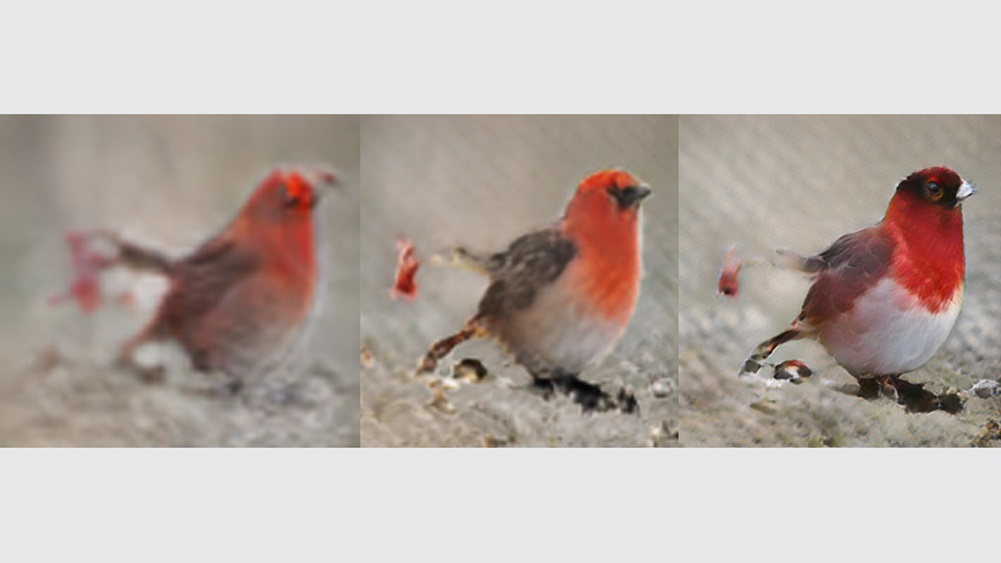 Hasil gambar dari deskripsi "burung ini berwarna merah dan putih, serta mempunyai paruh yang amat pendek" / Microsoft Research