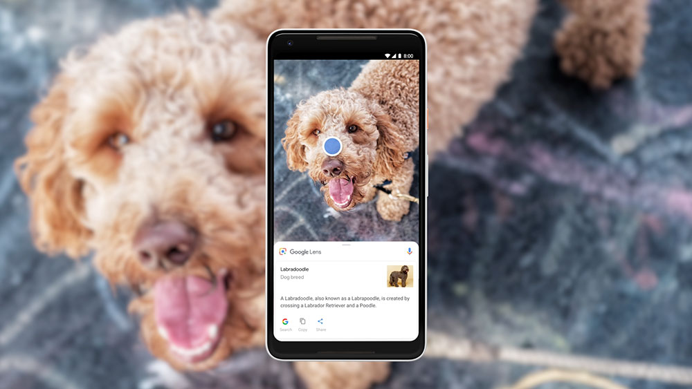 Google Lens / Google