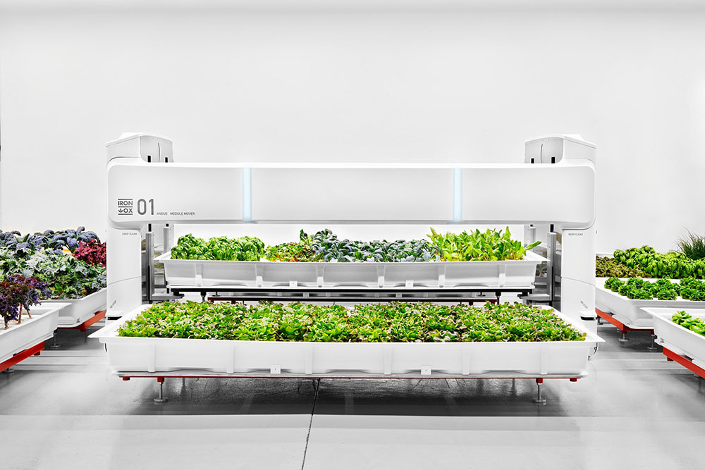 Salah satu robot pemindah di kebun indoor Iron Ox / Iron Ox