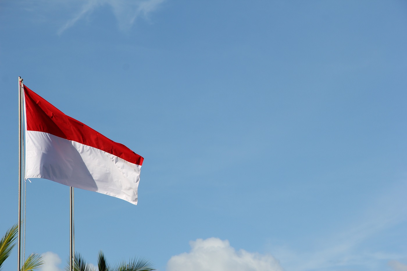 Riset Google dan Temasek tunjukkan Indonesia miliki peran kunci dalam pertumbuhan ekonomi internet di Asia Tenggara / Unsplash