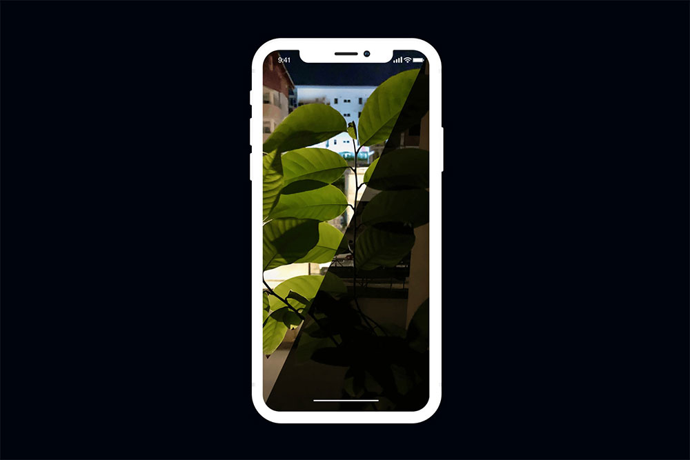 NeuralCam / Halcyon for SEO