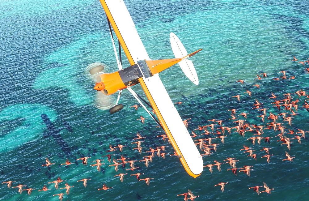 Microsoft Flight Simulator 2020.