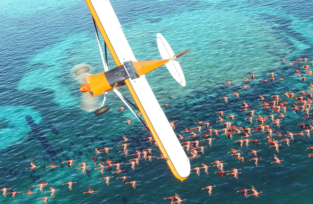 Microsoft Flight Simulator.