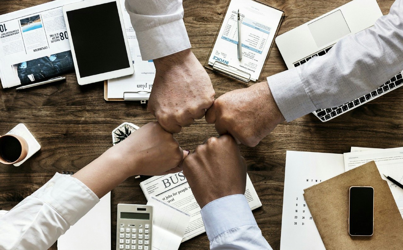 Corporates took part in the development of digital ecosystem development using diversified strategies