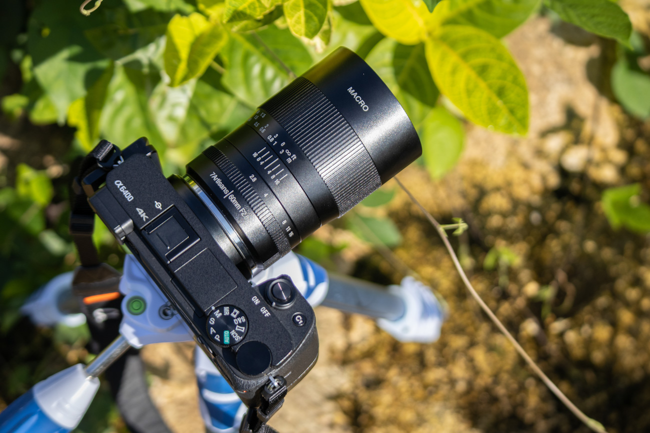 Hybrid.co.id | [Review] Lensa 7Artisans 60mm F2.8 Macro, Berkreasi Saat