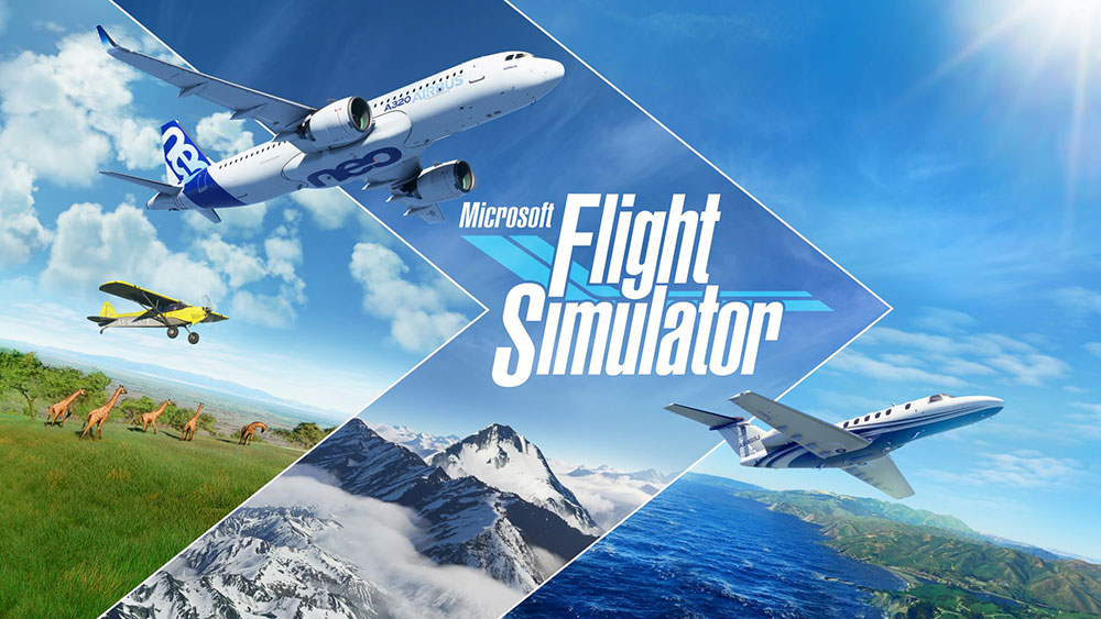 Microsoft Flight Simulator / Xbox Game Studios for SEO