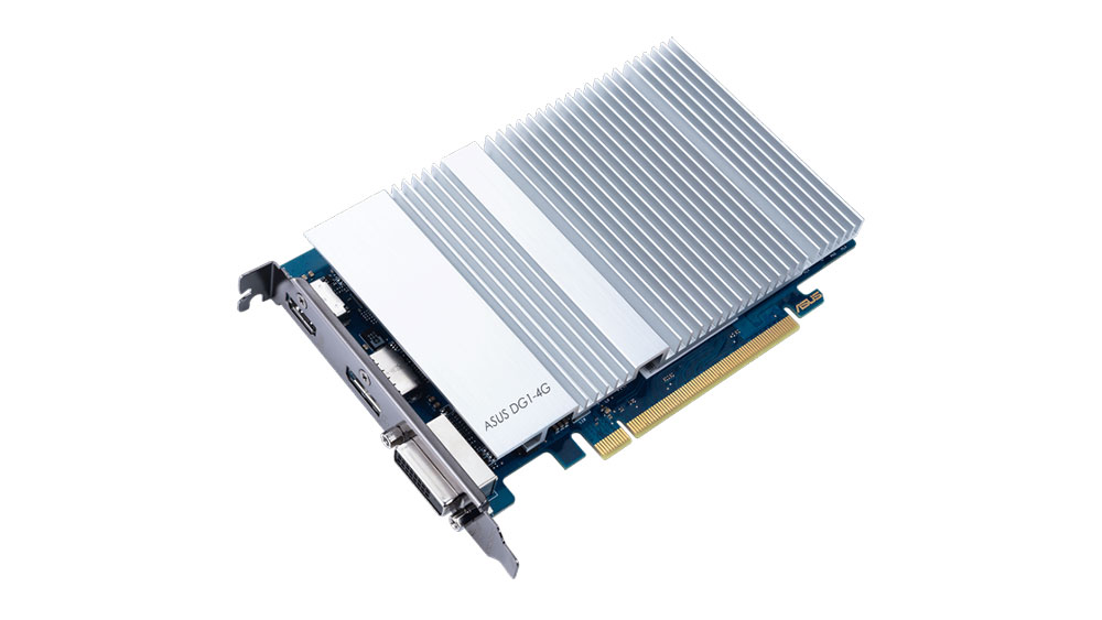 Kartu grafis DG1 versi Asus / Intel for SEO