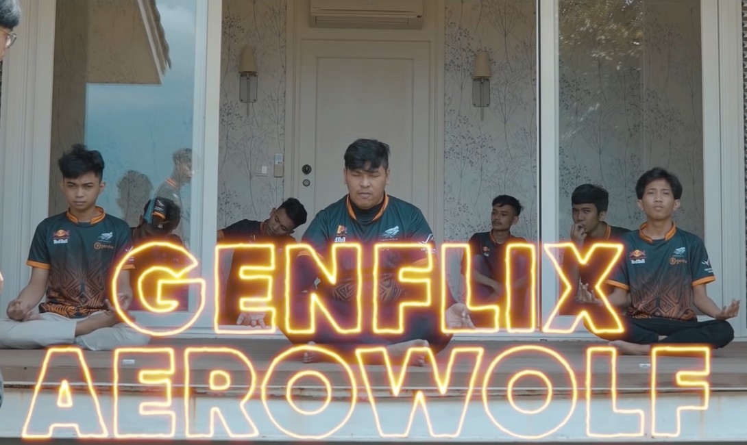 genflix aerowolfx_cr for SEO