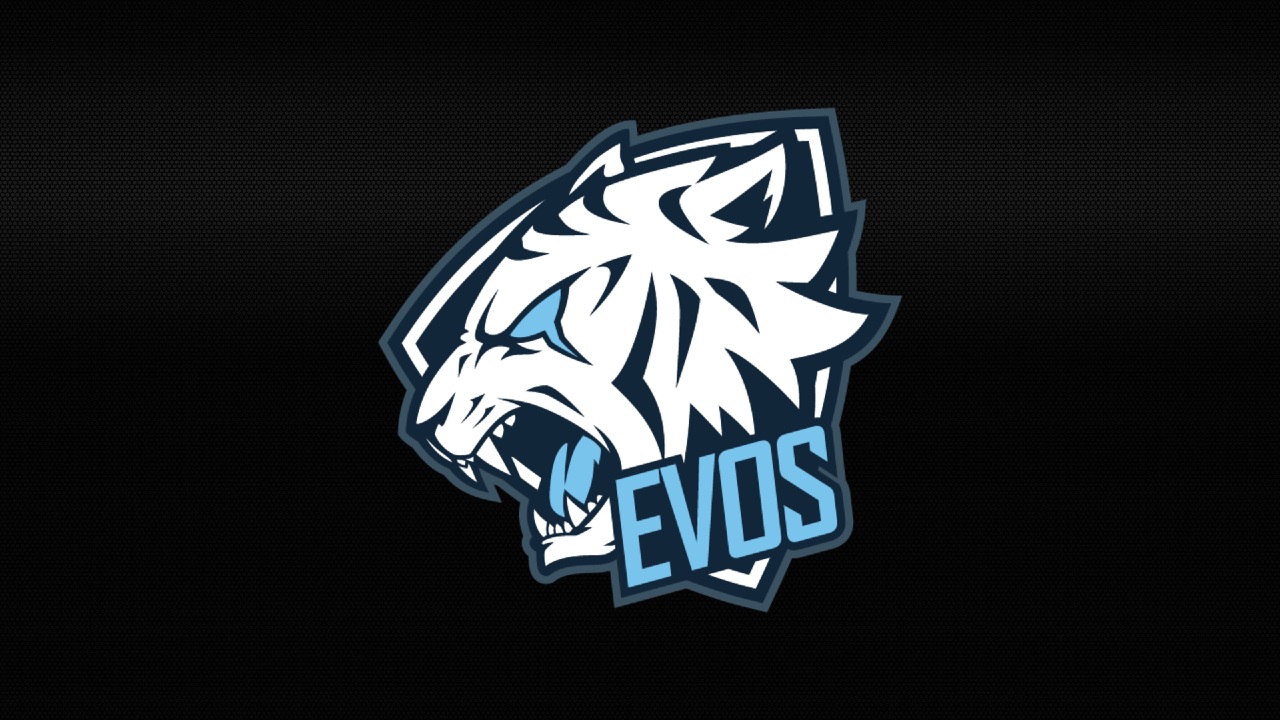 evos linkaja for SEO