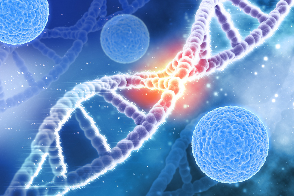 dna for SEO