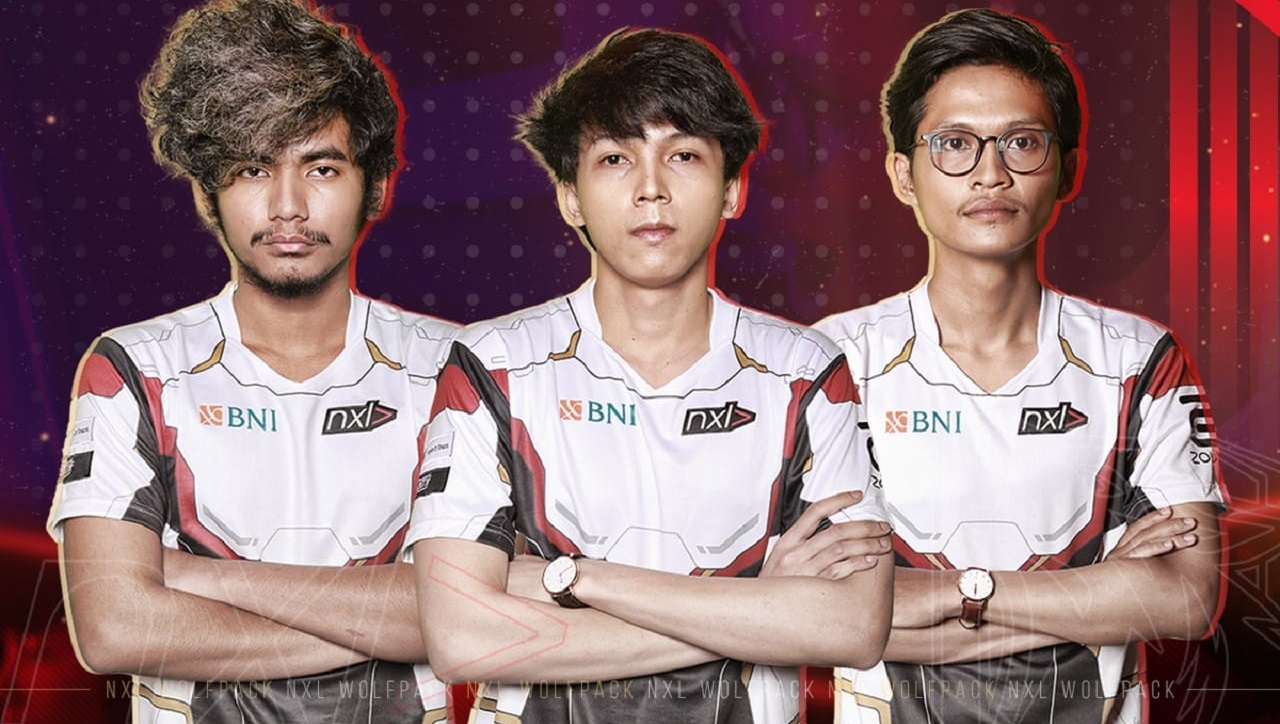 wolfpack arctic for SEO