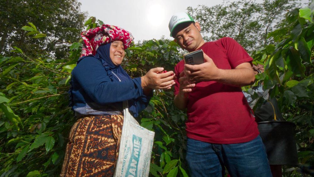 Koltiva Kantongi Pendanaan, Fokus Benahi Rantai Pasok Pertanian dengan Teknologi