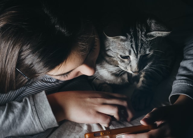 6 Aplikasi untuk Kucing Terbaik di Smartphone Android yang Harus Kamu Coba