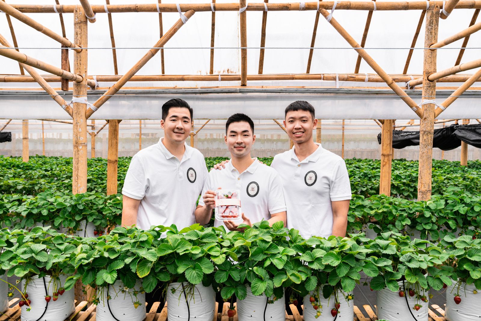 Para pendiri Hyoshii Farm: William Rayawan, James Rayawan, Anthony Lee / Hyoshii Farm